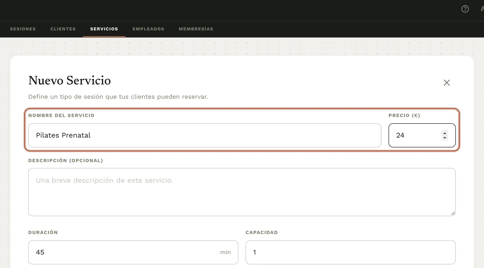 El formulario «Nuevo Servicio» con el nombre y el precio rellenos.