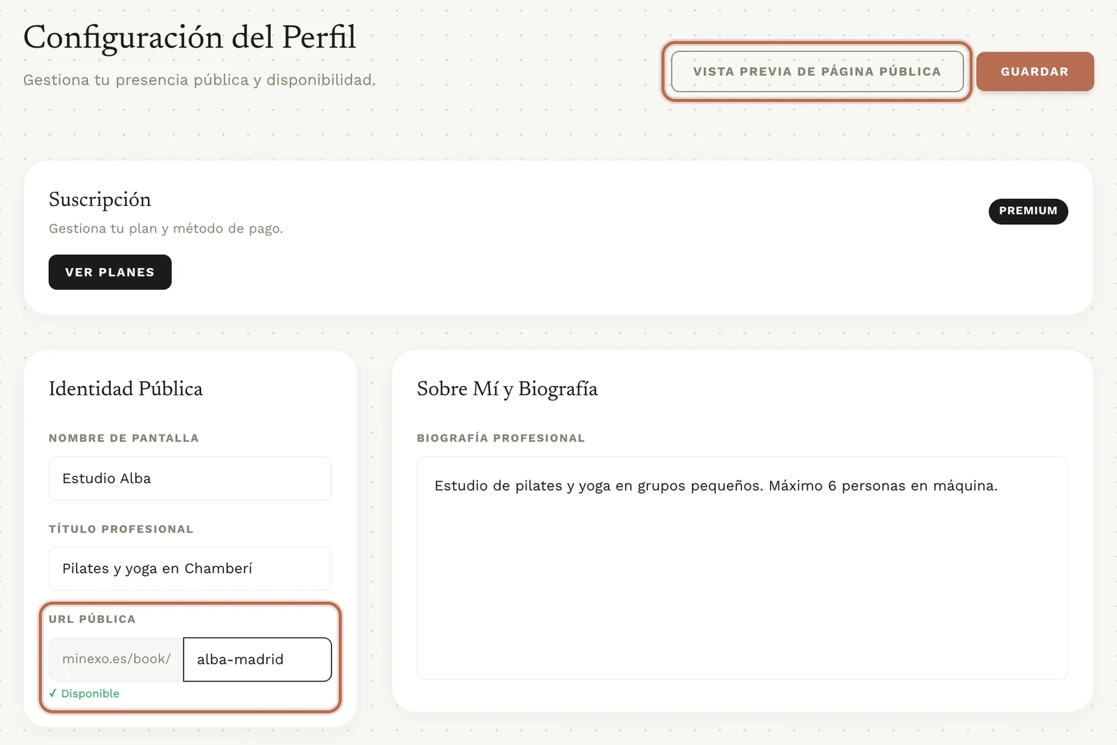 El perfil con la tarjeta «Identidad Pública», el campo «URL Pública» y los botones «Vista Previa de Página Pública» y «Guardar» arriba.